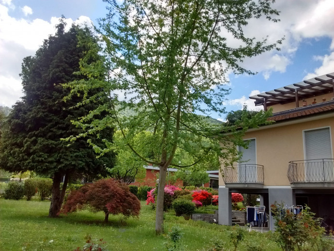 B&B IL CODIROSSO B&B IL CODIROSSO