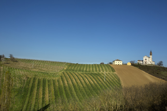 Tenuta Mazzolino