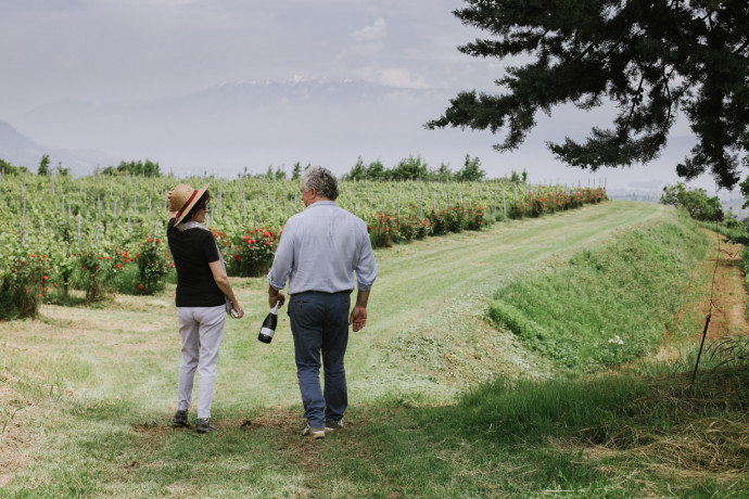 Patrizia Marazzi Wine Experience Patrizia Marazzi Wine Experience