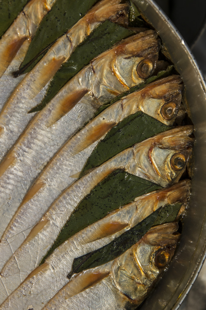 Agoni in contrada agoni, missoltino, pesce di lago