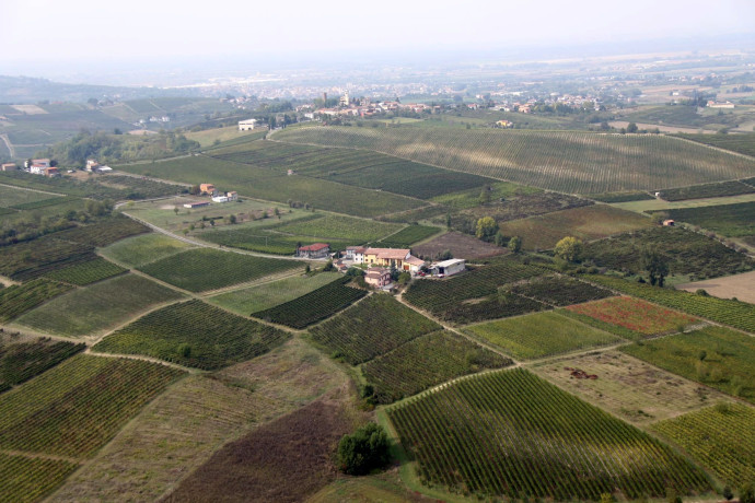 Escursione in notturna e apericena in vigna