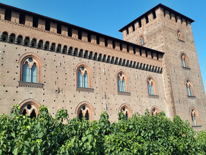 Visite guidate alla torre del Castello Visconteo di Pavia Visite guidate alla torre del Castello Visconteo di Pavia