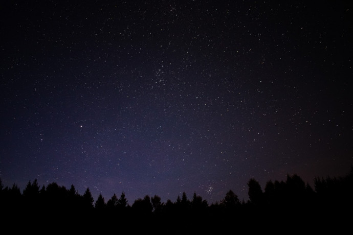Camminata sotto le stelle Camminata sotto le stelle