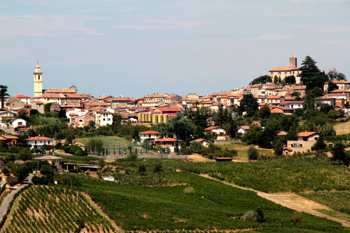 Primavera dei vini - Festa del Bonarda Primavera dei vini - Festa del Bonarda