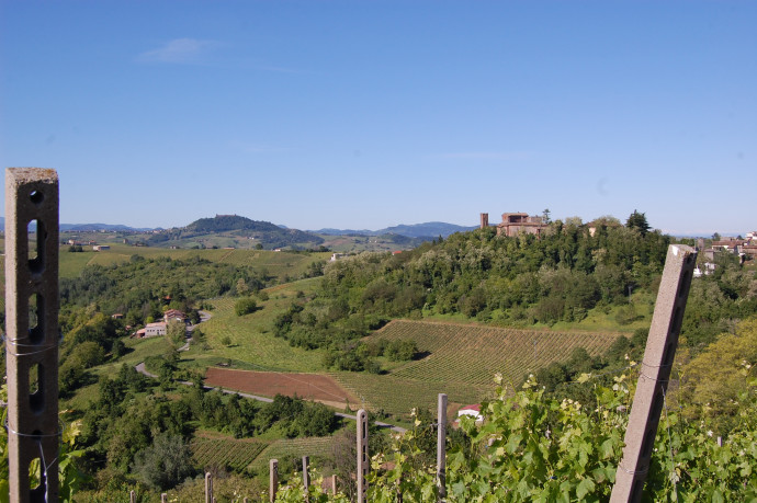 Assaggi tra vino e castelli Assaggi tra vino e castelli