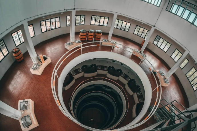 A San Martino ogni mosto diventa vino