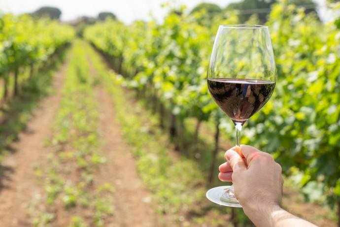 Primavera dei Vini e Festa del Bonarda a Rovescala Primavera dei Vini e Festa del Bonarda a Rovescala