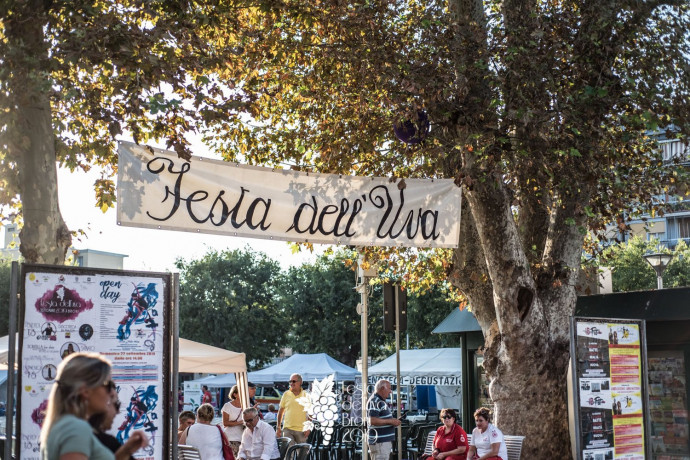 Festa dell'uva Broni