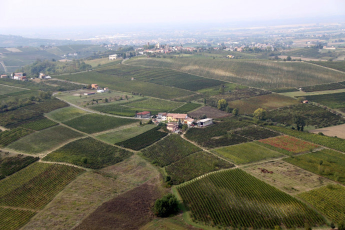 Escursione Notturna in Vigna e Apericena