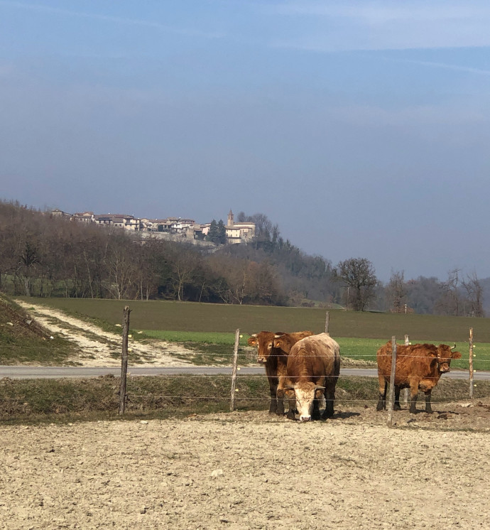 Camminata dei tre borghi