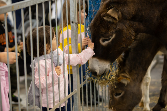 PetsFestival 2023 PetsFestival 2023
