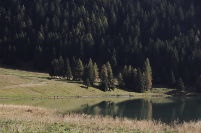 PODCAST: La voce dell'Altopiano 