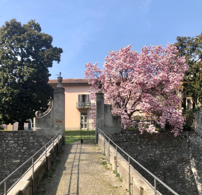 Cuori sepolti altrove