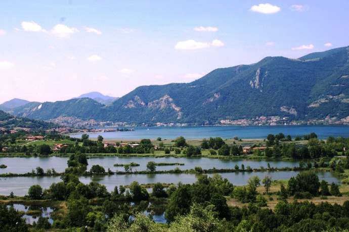 Visita Guidata "Le Piante Utili" - Primavera in Torbiera 2025