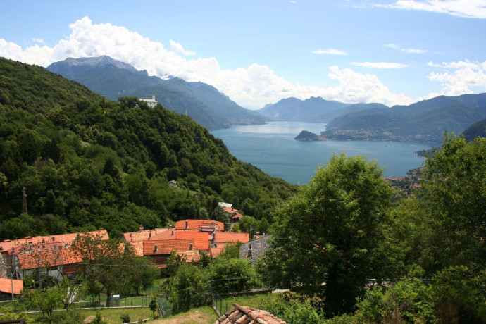 Un sogno di mezza estate