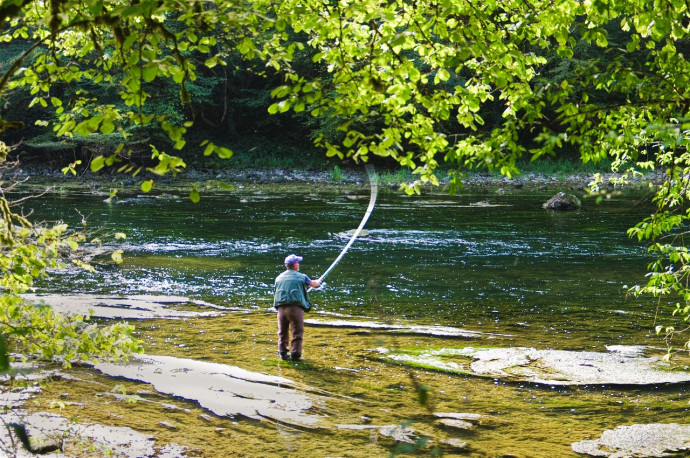 Pulentada del Pescadu