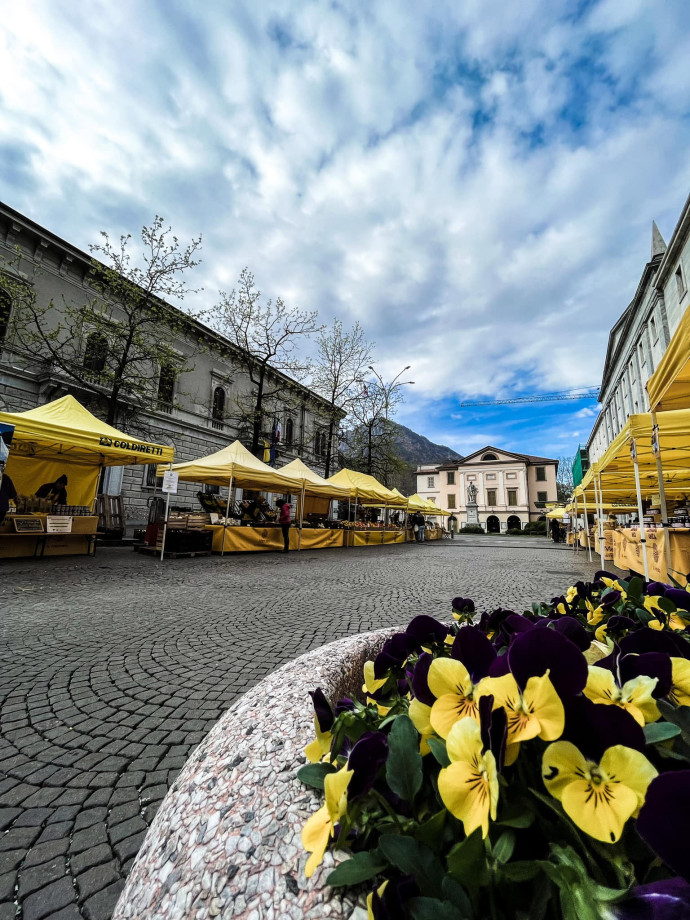 Mercato di Campagna amica - 26 Ottobre 2025