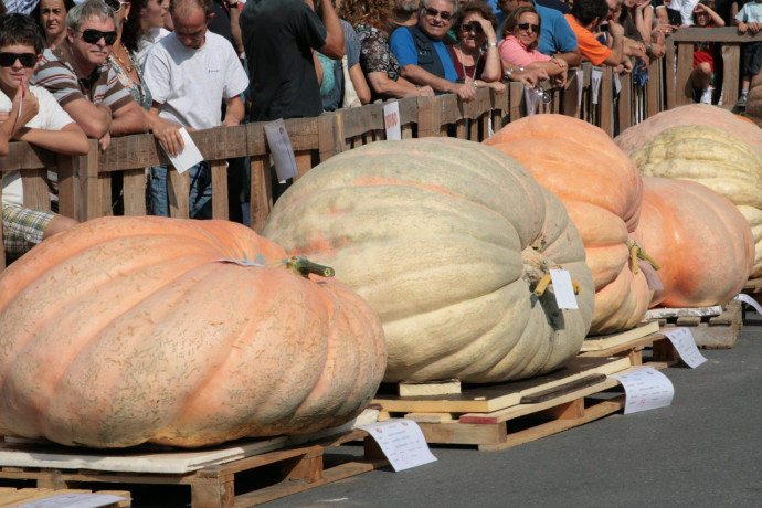42a sfida nazionale della zucca