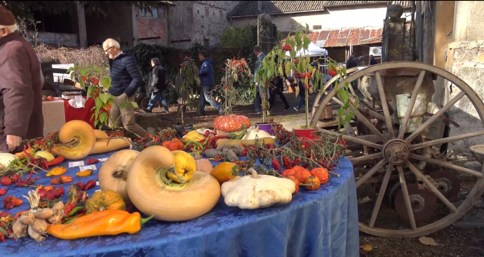 355esima Antica Fiera di San Martino