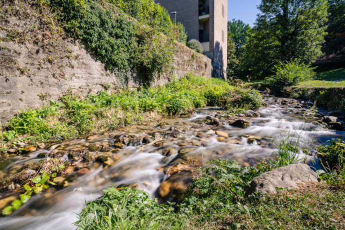 Da Otolab al Paradone (e ritorno!)