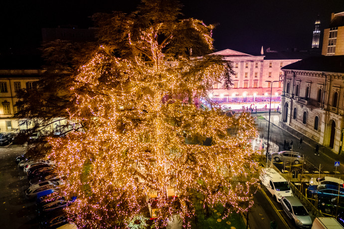 Accensione dell'alebro di Natale