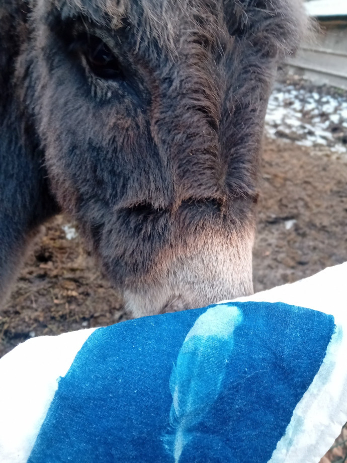 Una giornata in natura