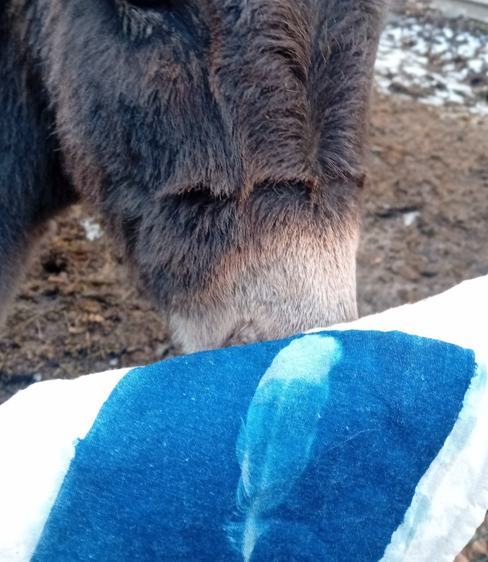 Una giornata in natura 