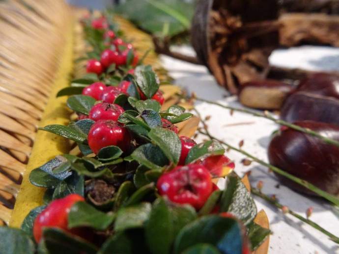 Laboratorio per tutti