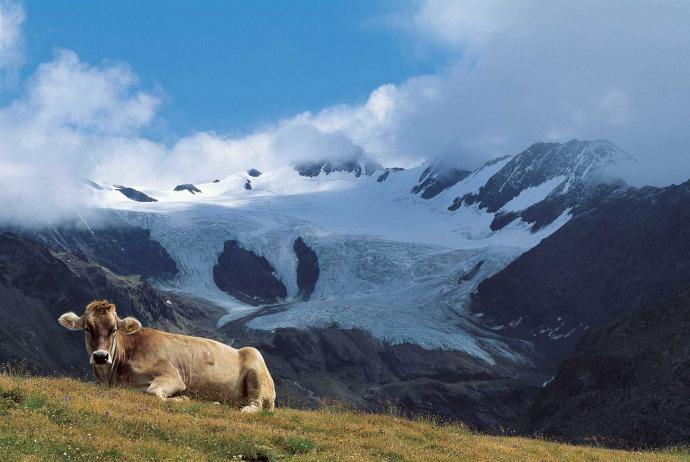 Que faire dans les montagnes Lombardes Que faire dans les montagnes lombardes