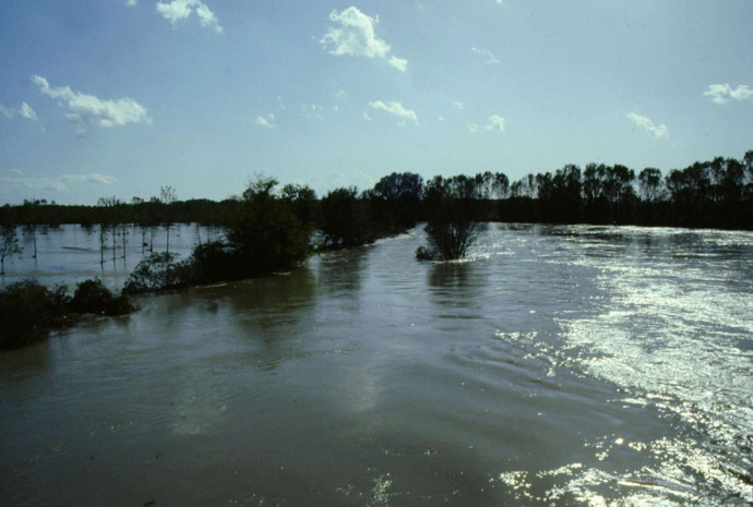 Natura e fiumi: il fiume Adda