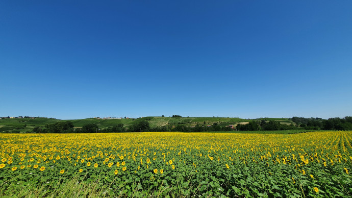 Agrotourismus in der Pavia: wo man sich ganz wie zu Hause fühlt