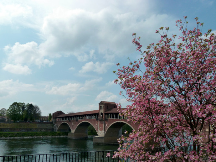 Ponte Coperto di Pavia
