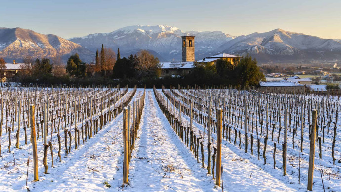 @www.franciacorta.wine
