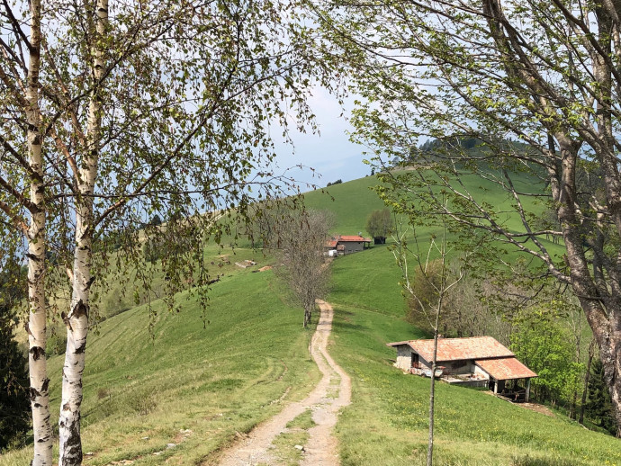 Da Rovetta alla Cappella Alpini Monte Blum 