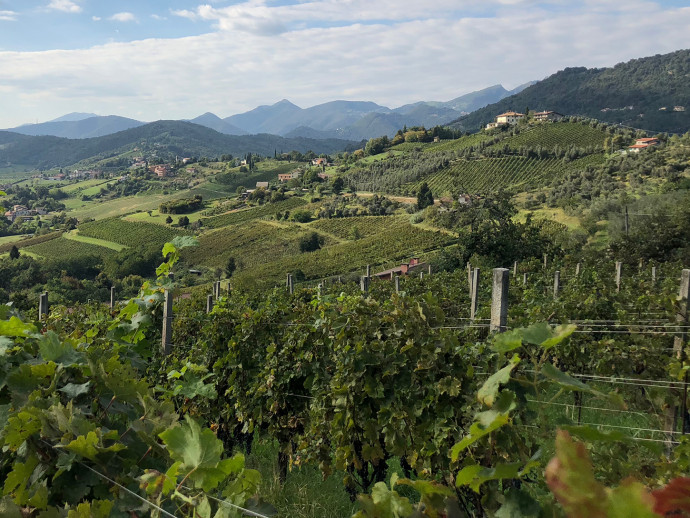 Da Scanzorosciate ad Albano Sant'Alessandro