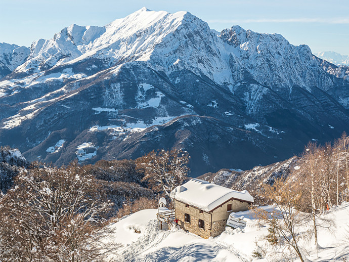 Un amore da rifugio