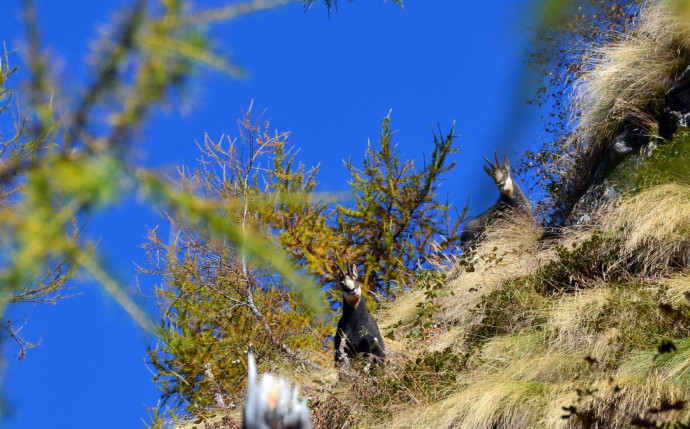 Giro ad anello dal Rifugio Elena Tironi a Rosello