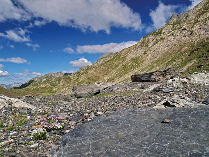 Da Fiumenero al Passo di Valsecca