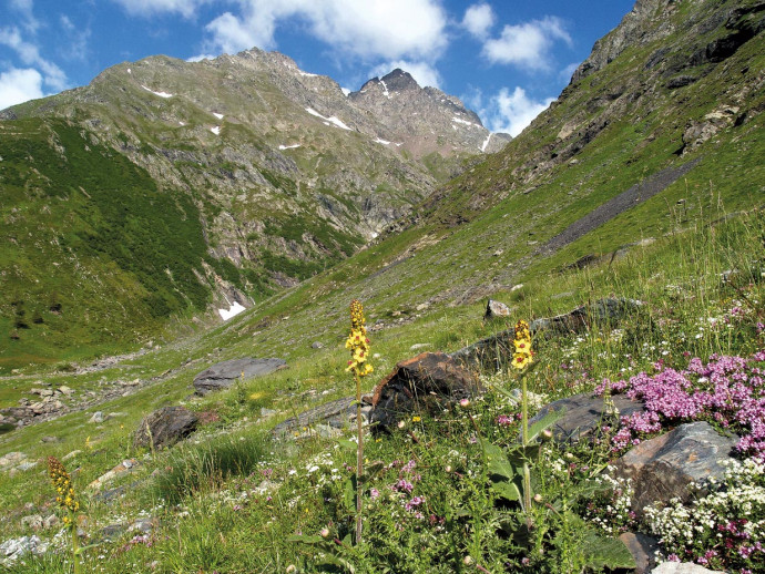 Valmorta, un paesaggio grandioso e solitario