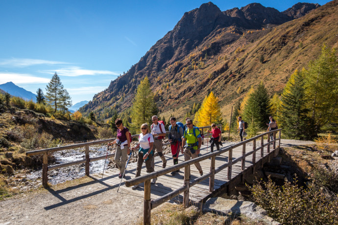 Val Grande tra colorati larici e cervi in amore