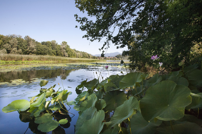  Il Lago di Varese