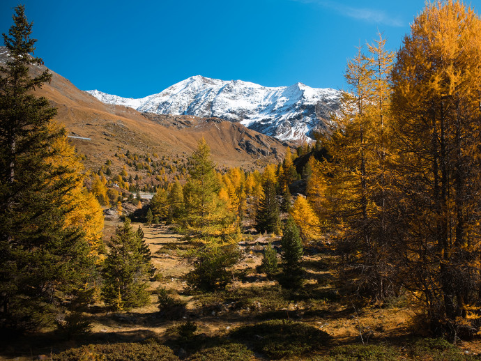 La glaciale Valle dei Forni