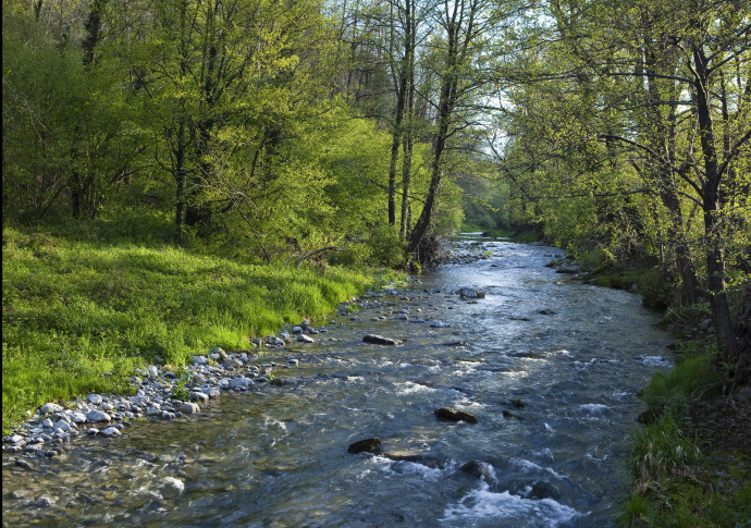 Lo scorrere del Lambro a Caslino d'Erba