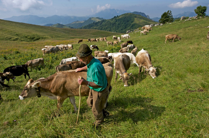 Vie della transumanza e degli ecosistemi