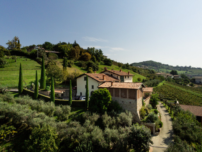 Azienda Agricola il Cipresso