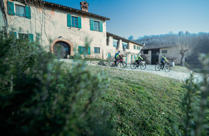 Tour in e-bike tra i vigneti di Montevecchia con possibile degustazione