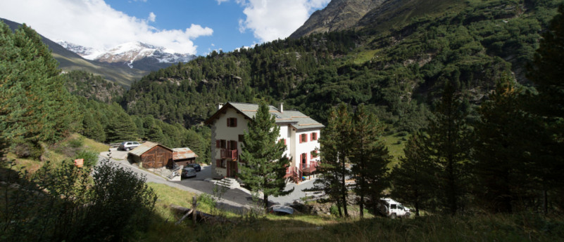 RIFUGIO STELLA ALPINA