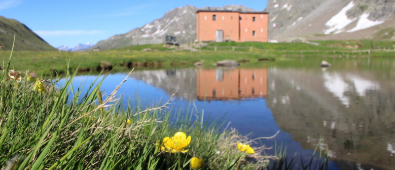 RIFUGIO VAL VIOLA