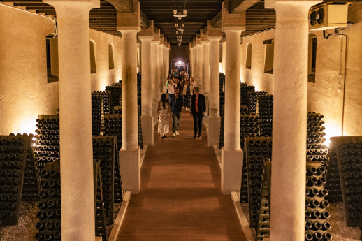 Franciacorta Tour