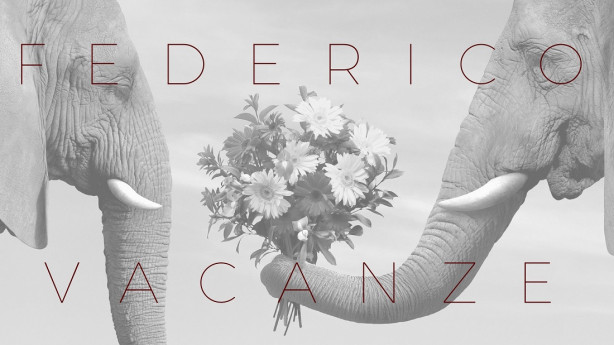 FEDERICO VACANZE